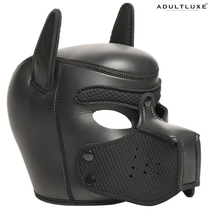 9 Piece Deluxe Pup Arsenal Set XR Brands Couples