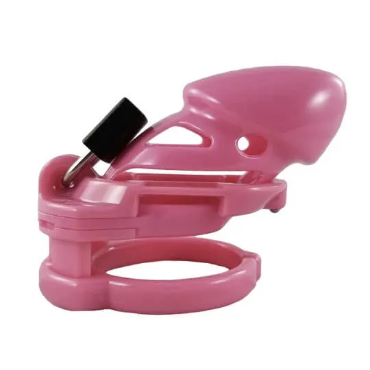 CHASTITY CAGE CO Male Sex Toys The Vice Chastity Cage I Standard