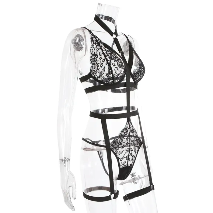 EVEs SECRETS Female Sex Toys Sexy Lingerie Hollow Out Brief Sets With Garters Womens Black Seamless Bra Set with Underwire