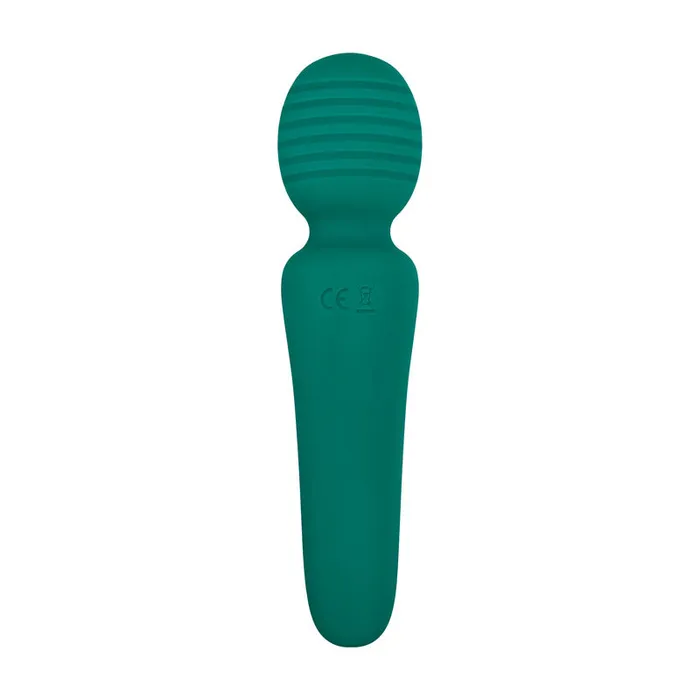 Evolved Novelties Female Sex Toys Eves Petite Private Rechargeable Wand