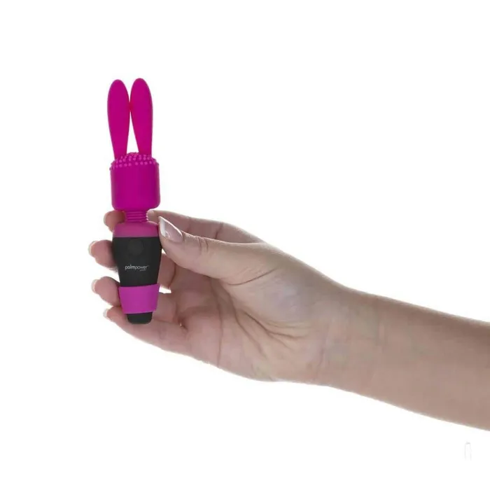 PalmPower Extended Head Attachments Bunny Brush Pawn PalmPower Vibrators